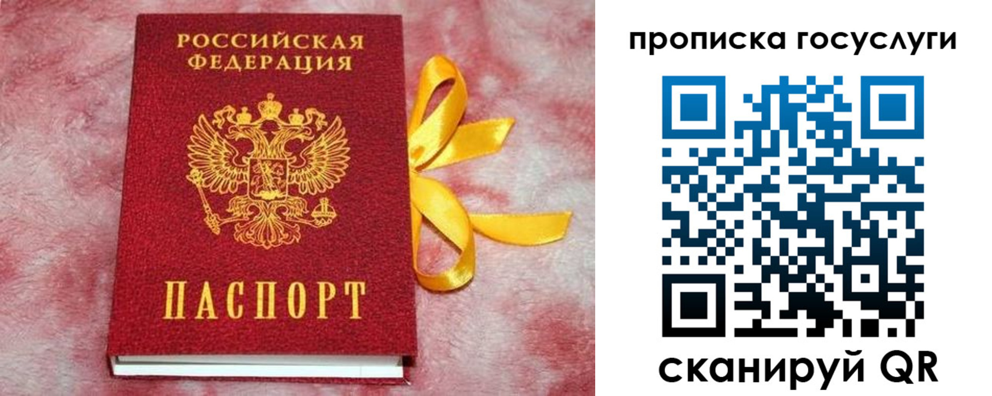 регистрация в Вологде